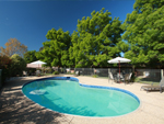 Mansfield Resort Swimming Pool